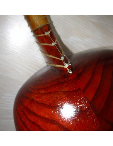 TAR persan, IRAN, luth oriental (tar saz) housse NEUF IMPORT IRAN