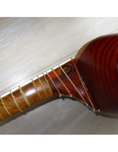 TAR persan, IRAN, luth oriental (tar saz) housse NEUF IMPORT IRAN