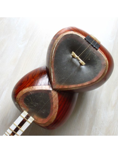 TAR persan, IRAN, luth oriental (tar saz) housse NEUF IMPORT IRAN