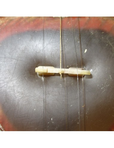 TAR persan, IRAN, luth oriental (tar saz) housse NEUF IMPORT IRAN