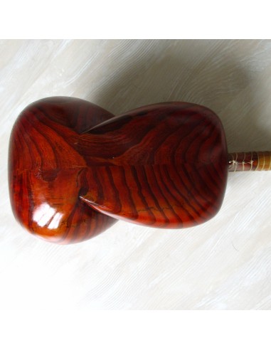 TAR persan, IRAN, luth oriental (tar saz) housse NEUF IMPORT IRAN