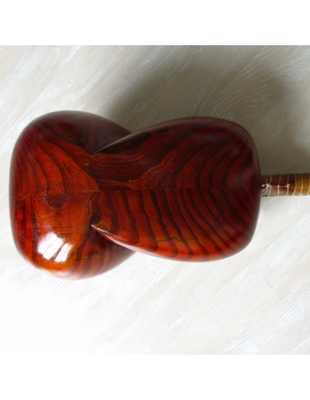 TAR persan, IRAN, luth oriental (tar saz) housse NEUF IMPORT IRAN
