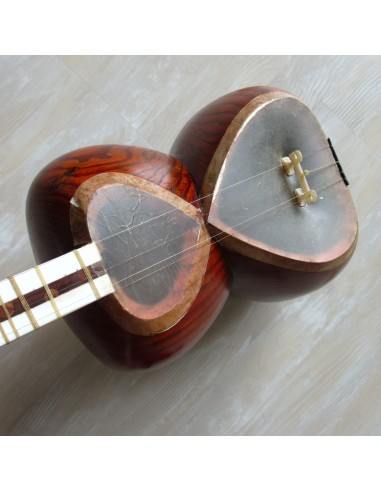 TAR persan, IRAN, luth oriental (tar saz) housse NEUF IMPORT IRAN