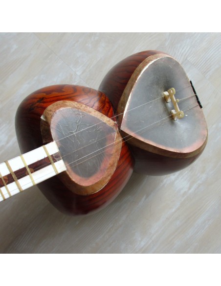TAR persan, IRAN, luth oriental (tar saz) housse NEUF IMPORT IRAN