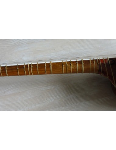 TAR persan, IRAN, luth oriental (tar saz) housse NEUF IMPORT IRAN