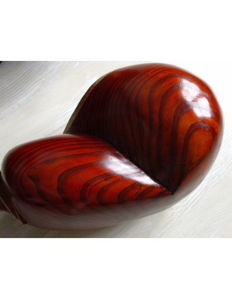 TAR persan, IRAN, luth oriental (tar saz) housse NEUF IMPORT IRAN