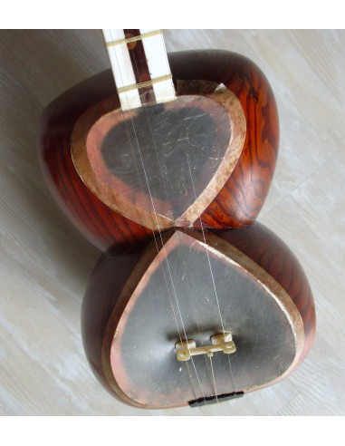 TAR persan, IRAN, luth oriental (tar saz) housse NEUF IMPORT IRAN