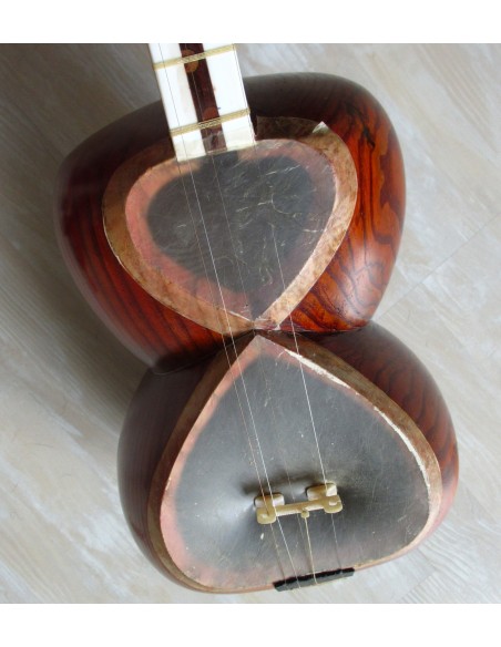 TAR persan, IRAN, luth oriental (tar saz) housse NEUF IMPORT IRAN