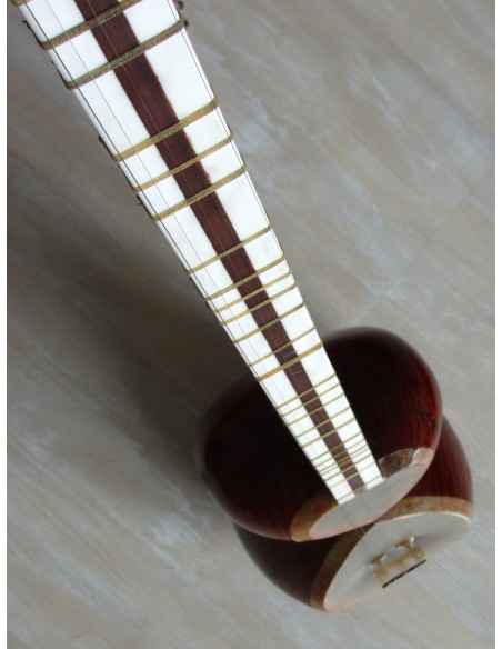 TAR persan, IRAN, luth oriental (tar saz) housse NEUF IMPORT IRAN