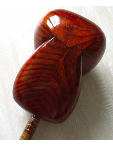 TAR persan, IRAN, luth oriental (tar saz) housse NEUF IMPORT IRAN