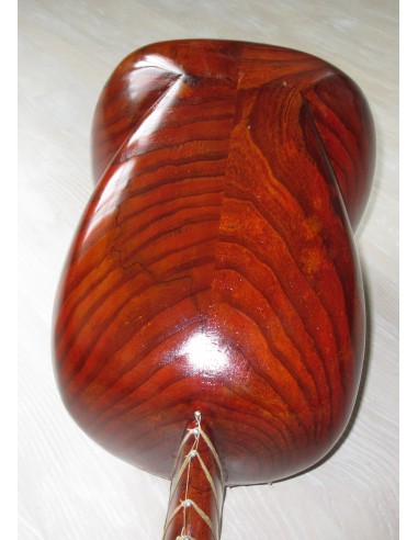 TAR persan, IRAN, luth oriental (tar saz) housse NEUF IMPORT IRAN