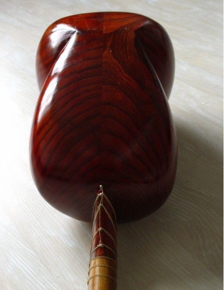 TAR persan, IRAN, luth oriental (tar saz) housse NEUF IMPORT IRAN