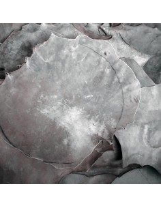 Poust-e-Tombak (Skin) Real Skin not Syntatic - peau Tombak Zarb naturelle