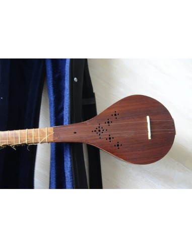 SETAR IMPORT DIRECT luth oriental (tar saz) housse NEUF IMPORT - AREF