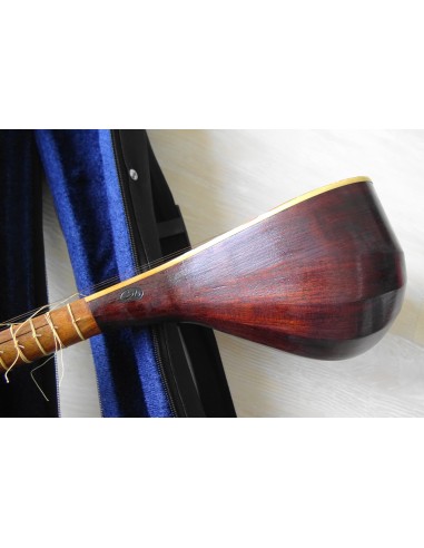 SETAR IMPORT DIRECT luth oriental (tar saz) housse NEUF IMPORT - AREF