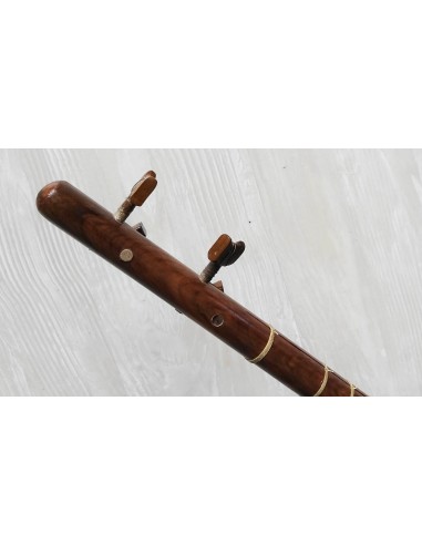 SETAR IMPORT DIRECT luth oriental (tar saz) housse NEUF IMPORT - AREF