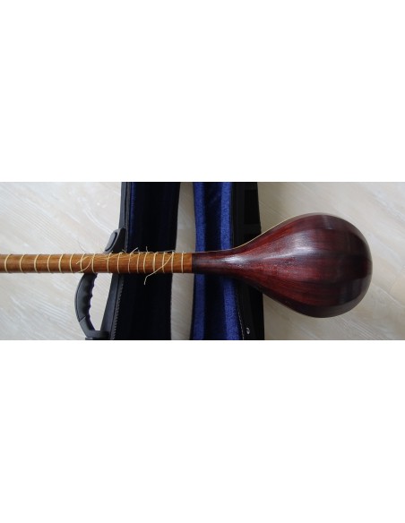 SETAR IMPORT DIRECT luth oriental (tar saz) housse NEUF IMPORT - AREF