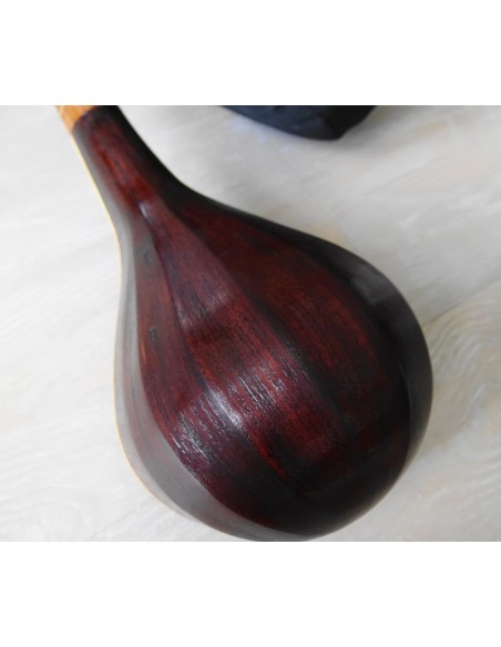 SETAR IMPORT DIRECT luth oriental (tar saz) housse NEUF IMPORT - AREF