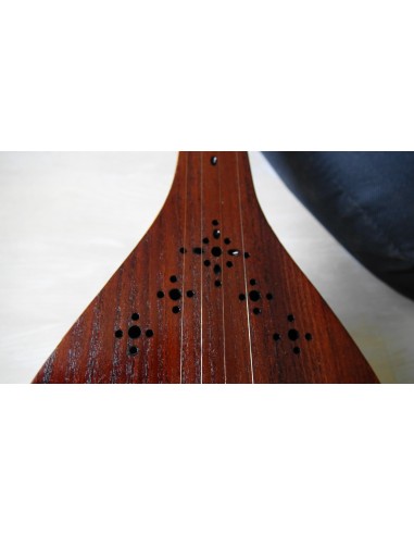 SETAR IMPORT DIRECT luth oriental (tar saz) housse NEUF IMPORT - AREF